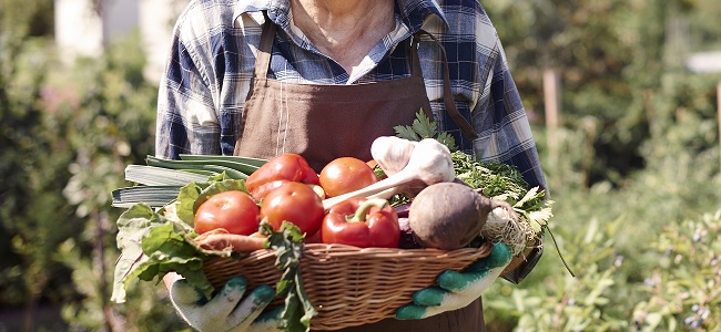 canasta de vegetales