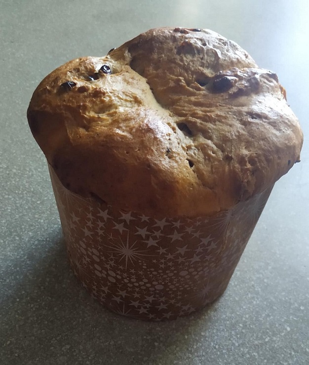 fotografia de panettone